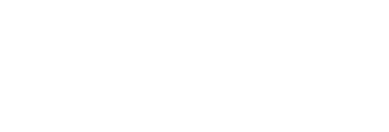 奇点成长